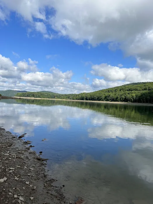 Allegheny National Forest - Camping & Cabins 0