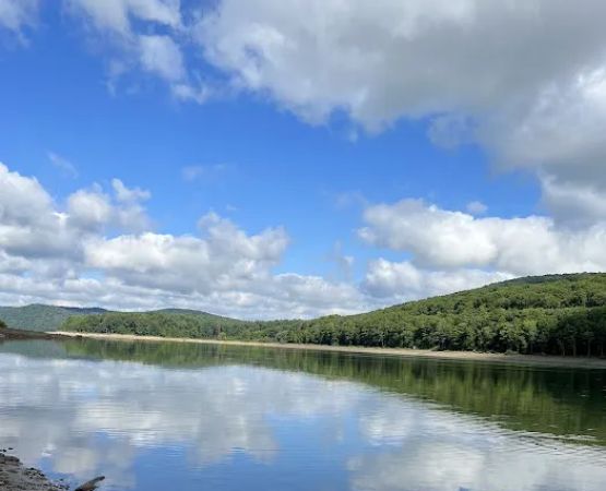Allegheny National Forest - Camping & Cabins