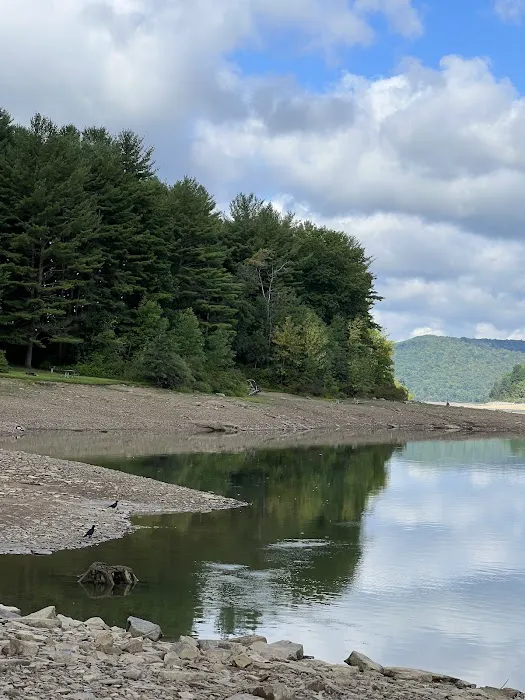 Allegheny National Forest - Camping & Cabins 5