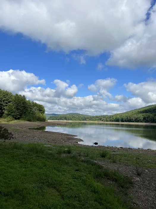 Allegheny National Forest - Camping & Cabins 9