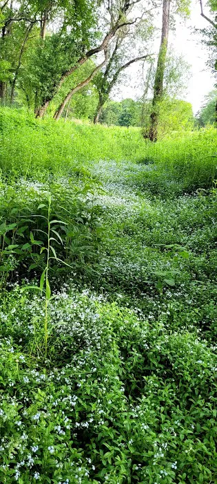 Elkdale RV Resort Inc 2