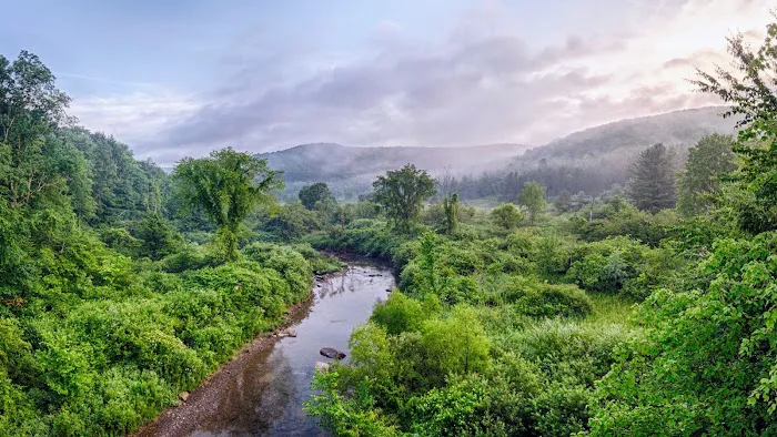 Willow Bay Campground 0