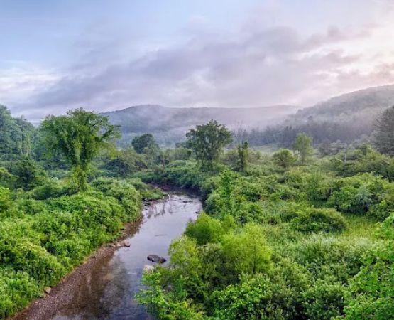 Willow Bay Campground