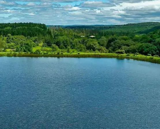 Bear Creek Lake Resort