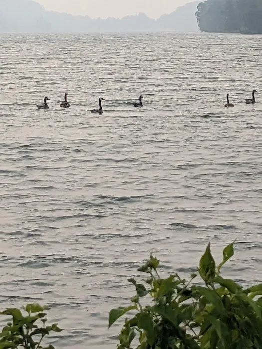 Cain Hollow Campground 3