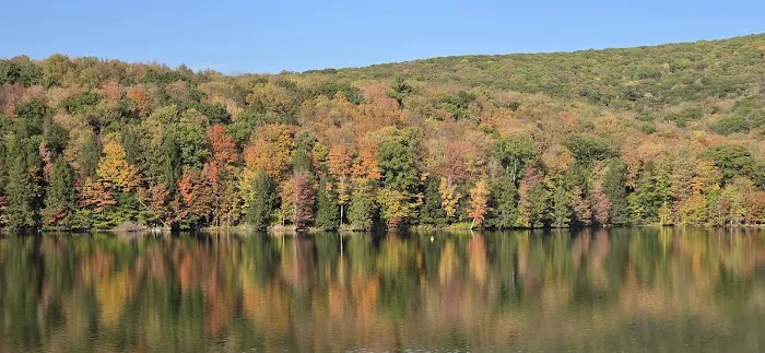 Quaker lake allegany State Park 1