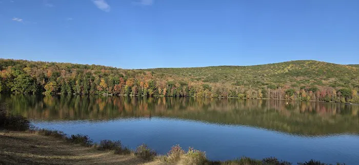 Quaker lake allegany State Park 2
