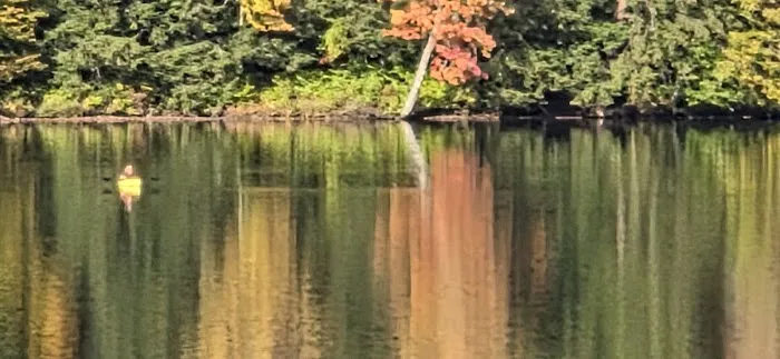 Quaker lake allegany State Park 0