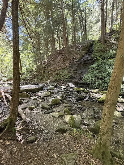 Allegany State Park 8