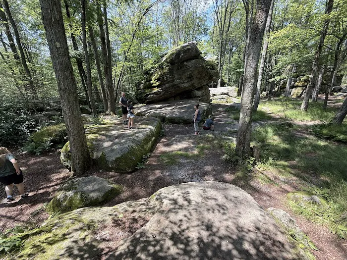 Allegany State Park 9