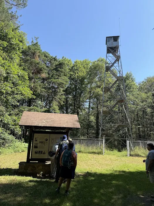 Allegany State Park 3