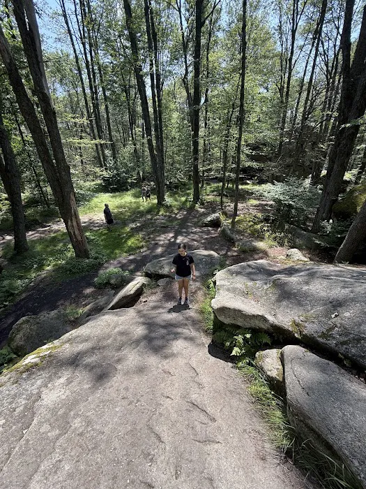 Allegany State Park 2