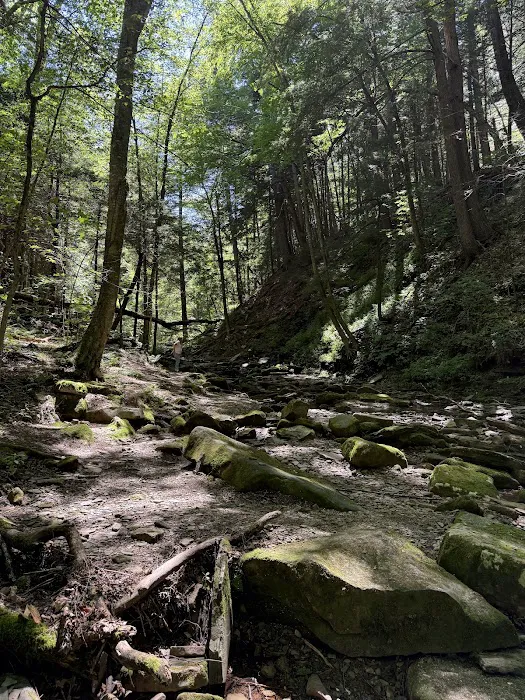 Allegany State Park 0