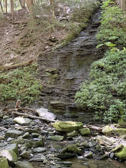 Allegany State Park 4