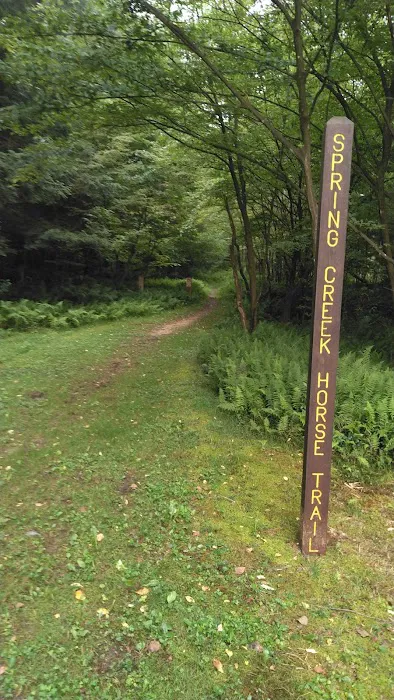 Kelly Pines Equestrian Campground 2