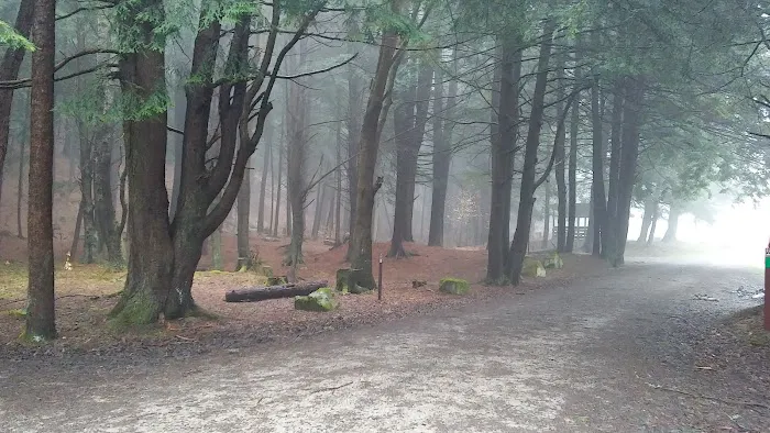 Kelly Pines Equestrian Campground 5