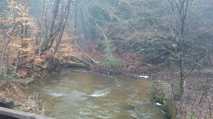 Kelly Pines Equestrian Campground 8