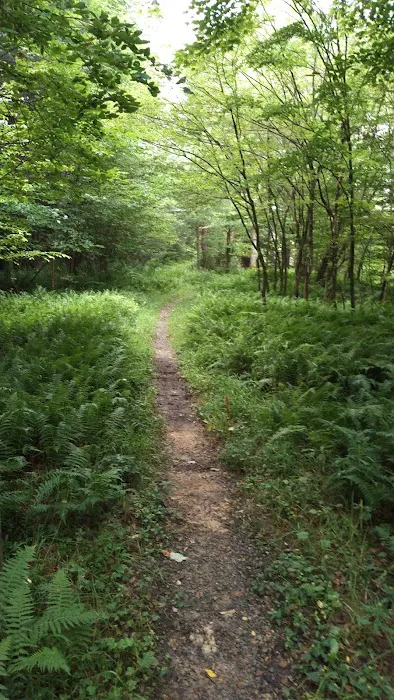 Kelly Pines Equestrian Campground 9