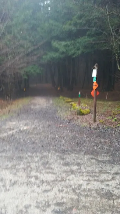 Kelly Pines Equestrian Campground 4