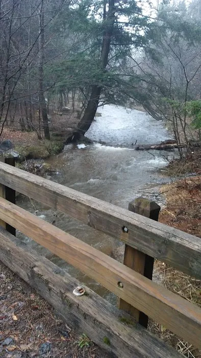 Kelly Pines Equestrian Campground 7