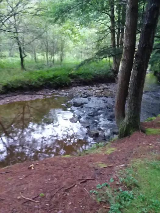 Kelly Pines Equestrian Campground 0