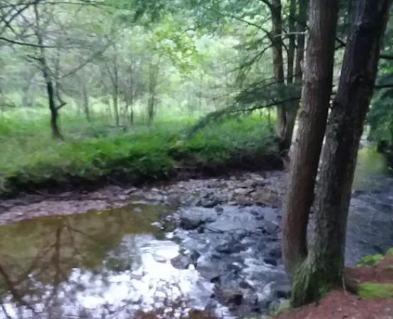 Kelly Pines Equestrian Campground