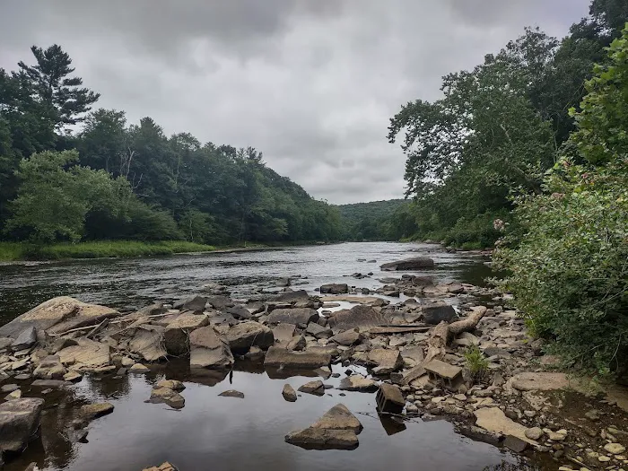 Clarion River Campground - Robin Island 1