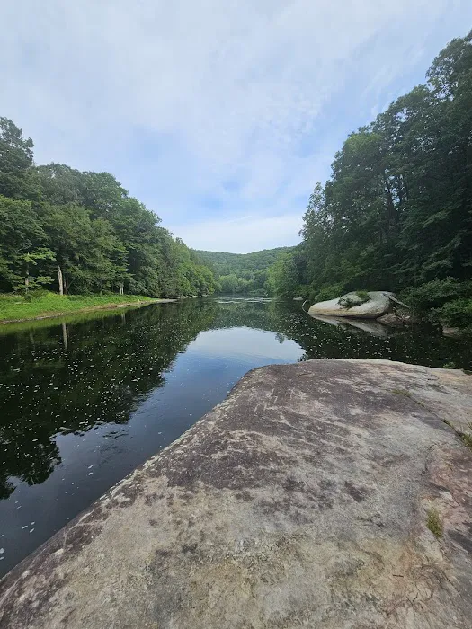Clarion River Campground - Robin Island 3