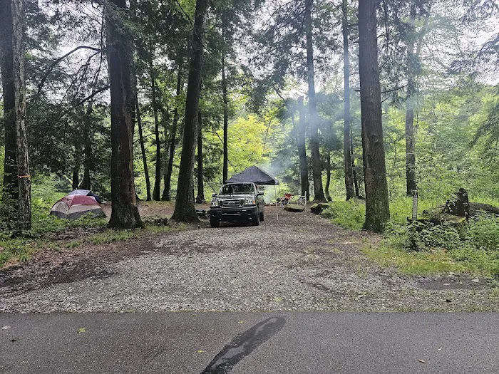 Clarion River Campground - Robin Island 0