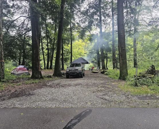 Clarion River Campground - Robin Island