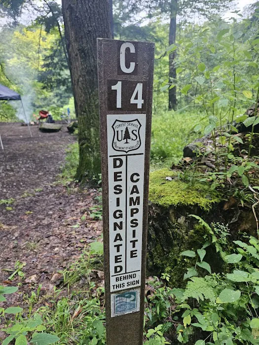 Clarion River Campground - Robin Island 9