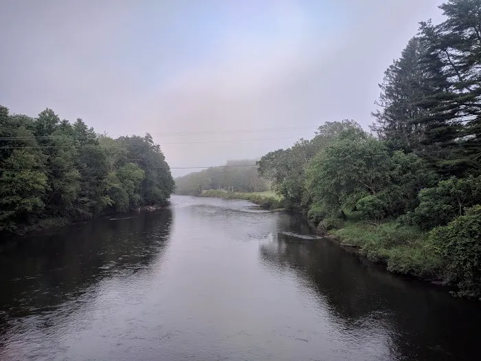 Clarion River Campground - Robin Island 4