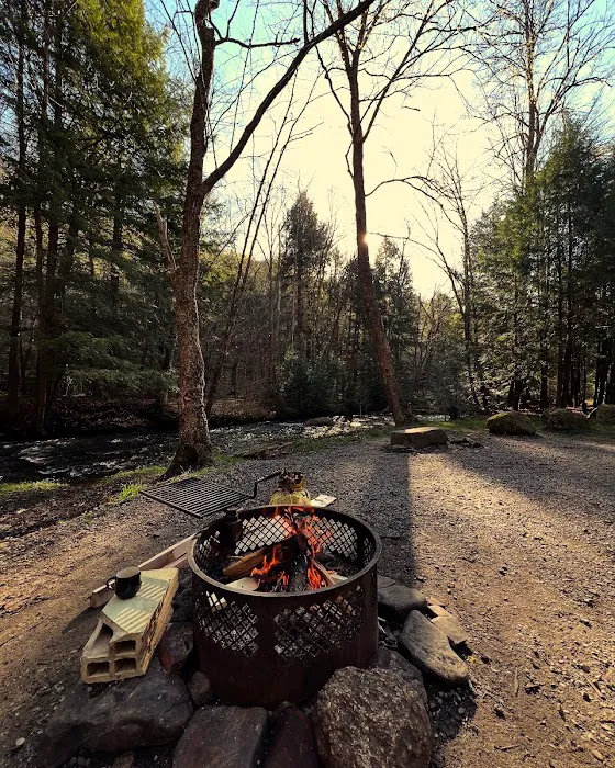 Minister Creek Campground 9