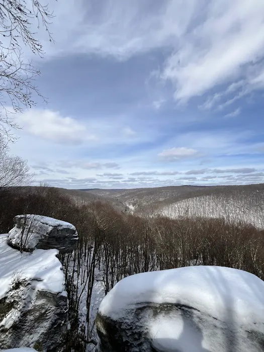 Minister Creek Campground 5