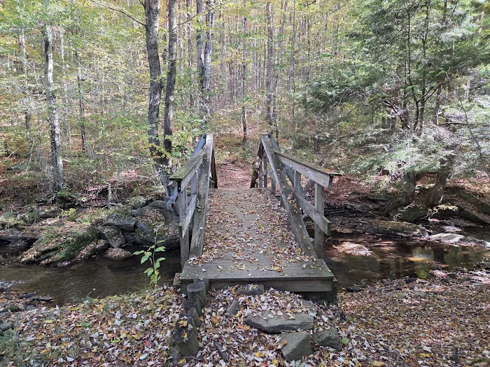 Minister Creek Campground 3