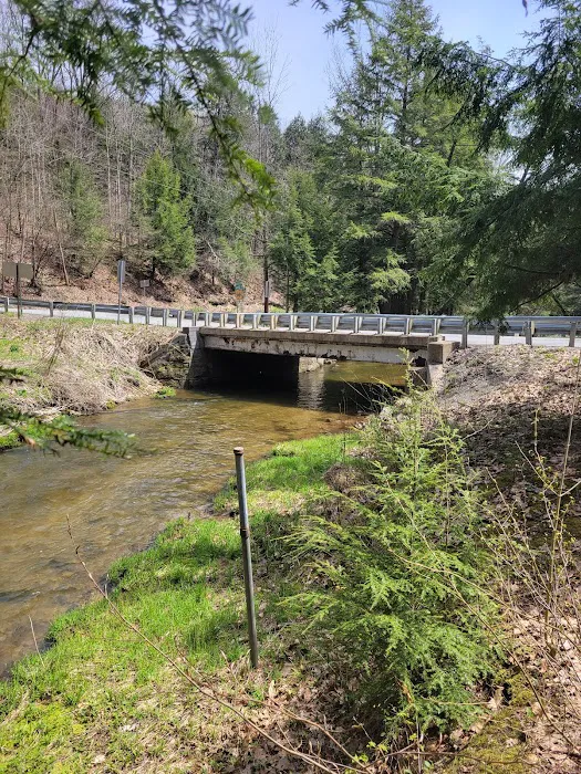 Minister Creek Campground 4
