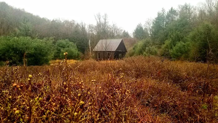 Minister Creek Campground 1