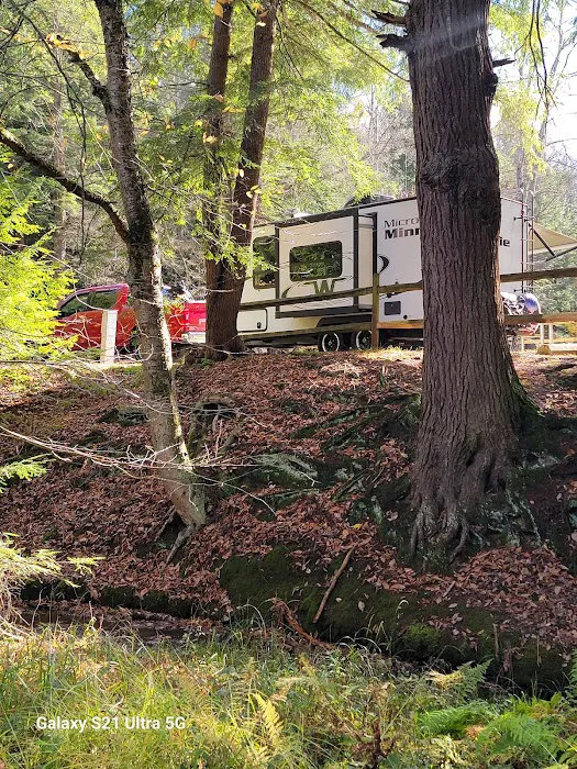 Chapman State Park Campground 1