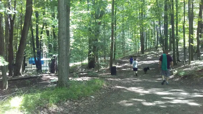 Arrowhead Camping Area 3