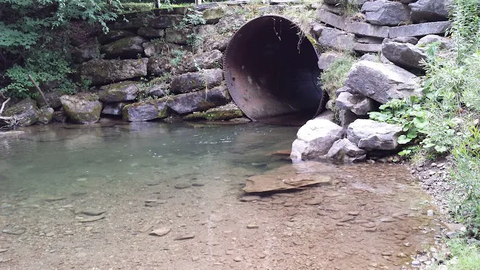 Arrowhead Camping Area 7