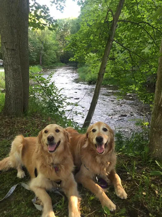 Creek-N-Wood RV Park and Campground 7