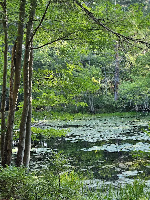 Lorraine Park Campground 4