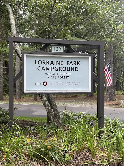 Lorraine Park Campground 3