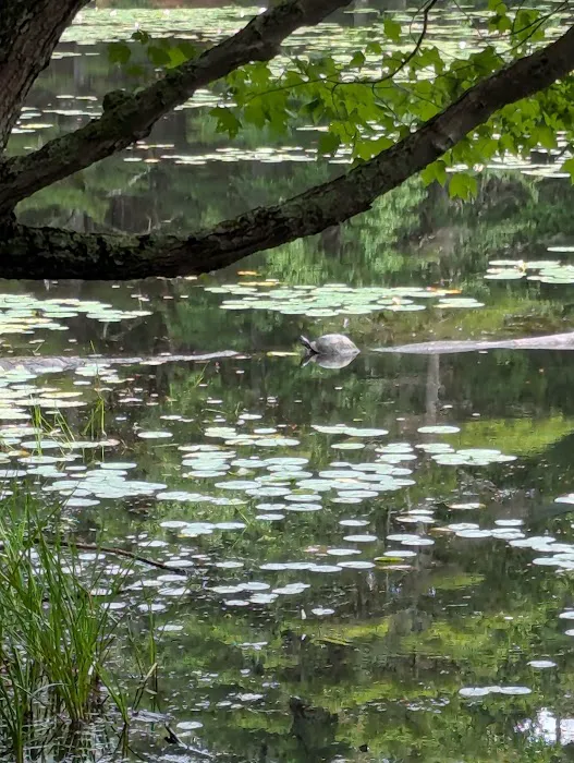 Lorraine Park Campground 0