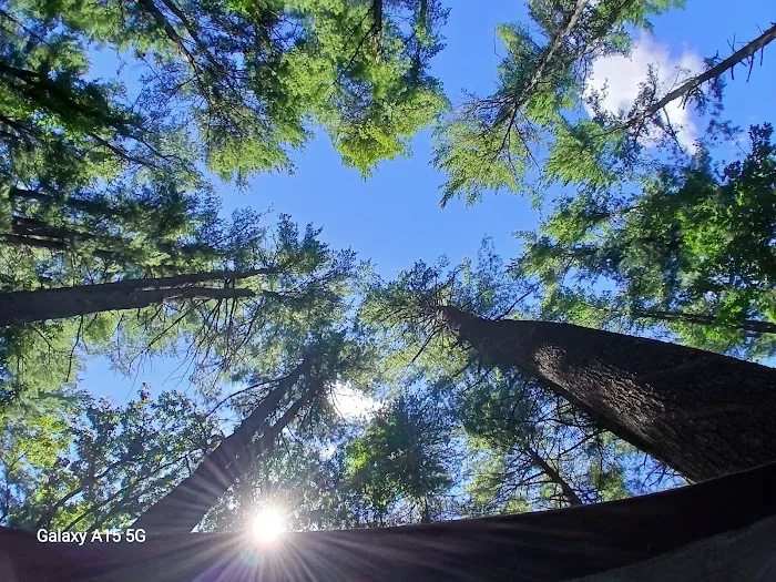 Lorraine Park Campground 7