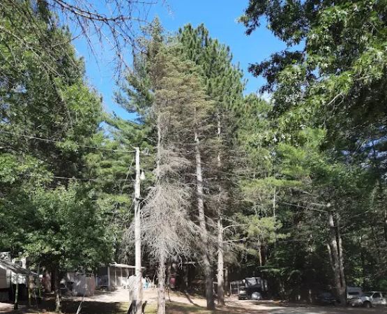 Hidden Valley RV & Golf Park