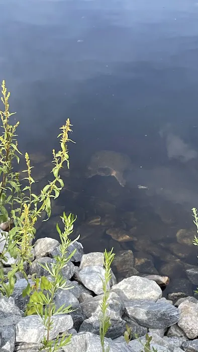 Sanborn Shore Acres 6