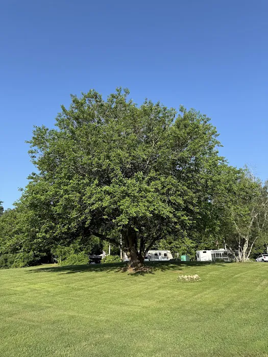 Sunset Park Campground 2