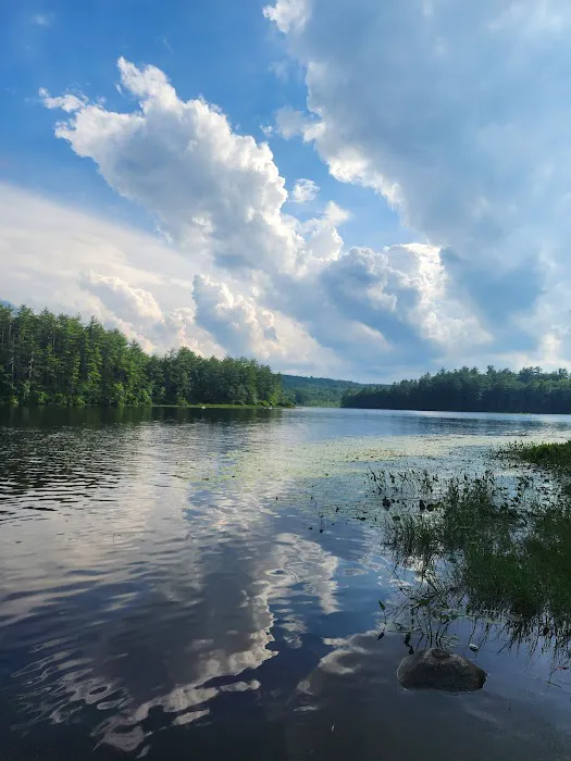 Beaver Pond Campground at Bear Brook State Park 0
