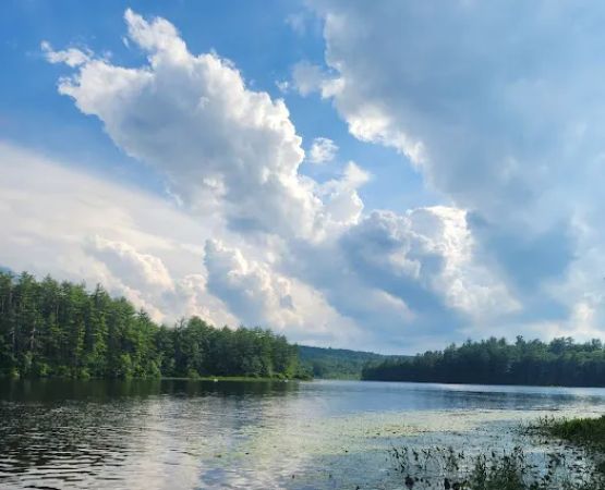 Beaver Pond Campground at Bear Brook State Park